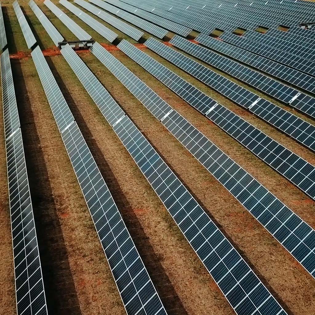 Heineken Solar Project
